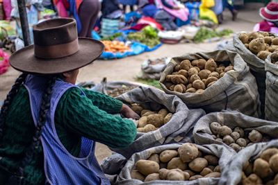 Peruanerin auf den Markt